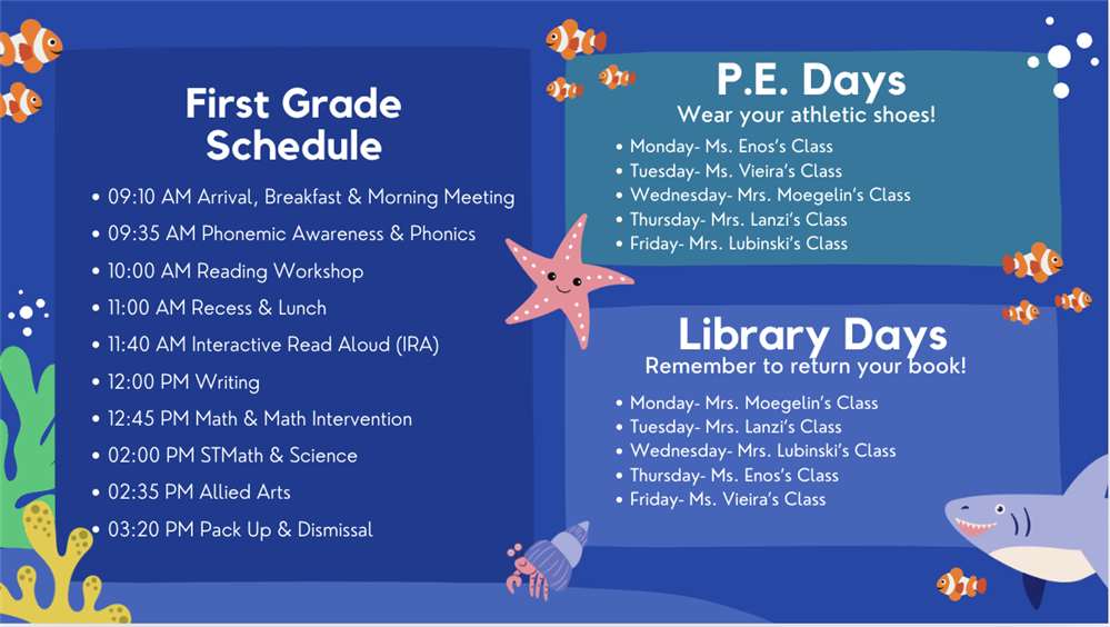 Visual First grade schedule with gym and library reminders